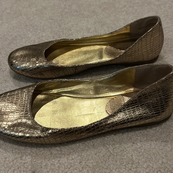 Gold Flats - Picture 4 of 4